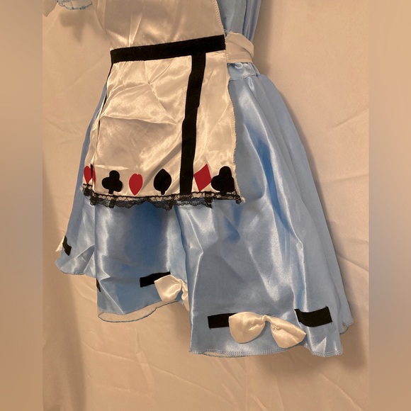 Alice in Wonderland Juniors costume dress - Picture 3 of 12